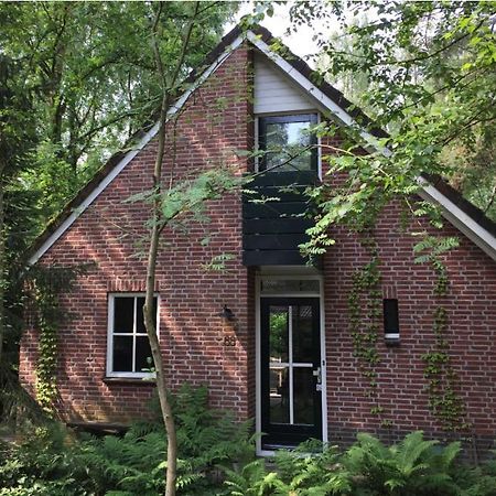Natuurhuisje Even Niets Zelhem Zewnętrze zdjęcie